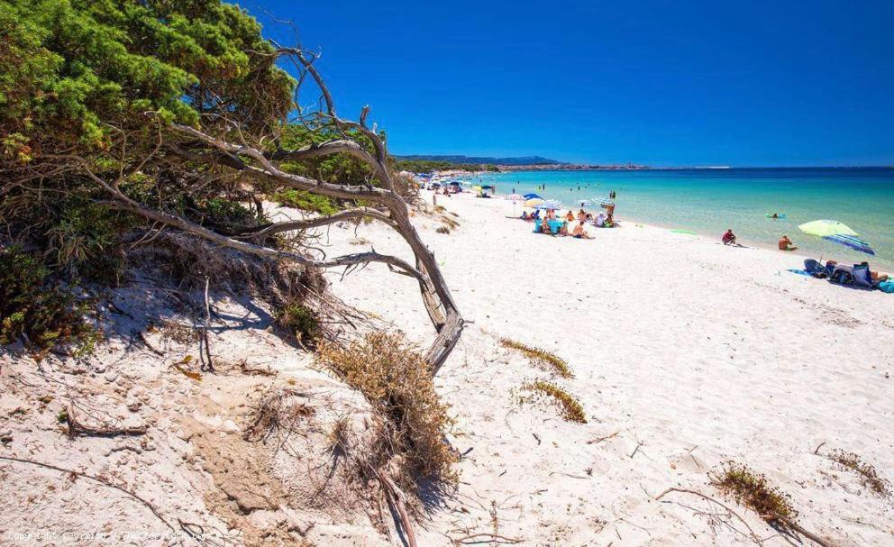 Appartamento A Pochi Passi Dalla Spiaggia Alguer Exterior foto